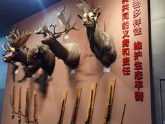-浙江自然博物院(杭州馆)