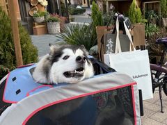 -比斯特上海购物村精品奥特莱斯