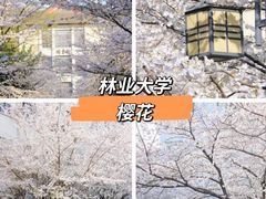 -鸡鸣寺