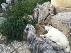 -苏州文旅花间堂·探花府酒店