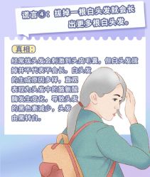 -Bollins波林丝•专研护发中心