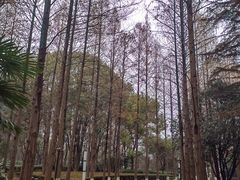 -苏州河梦清园环保主题公园