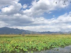 -野鸭湖国家湿地公园