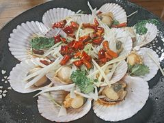 -鲁前海沿儿