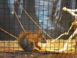 -酷嗒动物文化乐园(cutezoo西溪乐天城店)