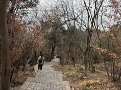 -紫金山山顶公园