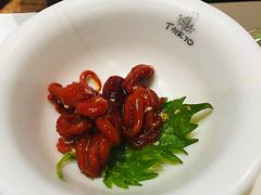 珍味八爪鱼-大渔·观筵(三里屯太古里店)