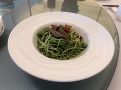 黑腐竹豆苗-北京厨房(西安SKP店)