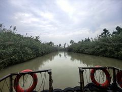 -泗洪洪泽湖湿地景区