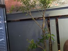 -玲珑汤泉生活会馆(花桥店)