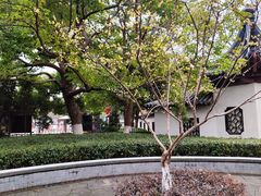 -郑和公园
