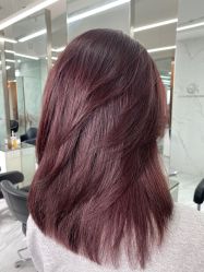 -潘多拉Hairsalon