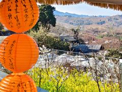 -桃源山庄·水蜜桃采摘·柴火鸡·烧烤团建(龙泉山店)