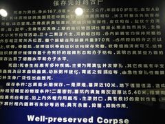 -荆州博物馆