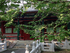 -紫竹院公园冰场