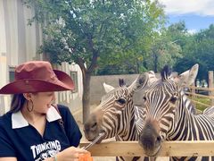 -水上乐园·欢乐世界