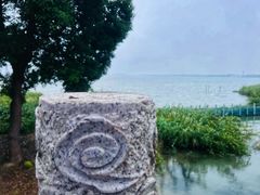-莲花岛景区