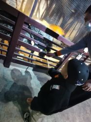 -酷嗒动物文化乐园(cutezoo西溪乐天城店)