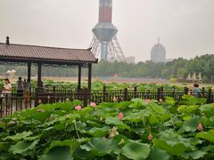 -裕华世纪公园