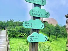 -仰天湖大草原