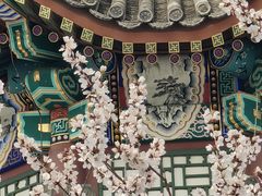 -颐和园