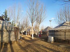 -九十九顶毡房(阜石路店)