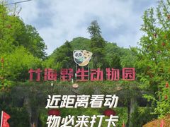 -栾川竹海野生动物园