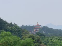 -金水泊山庄·花椒鸡(铁山坪店)