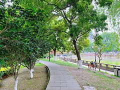 -温江公园