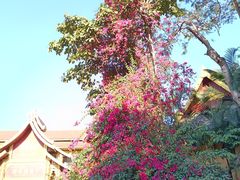 -曼听御花园