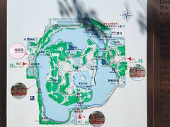 -团结湖公园