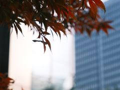 -合景·悠方(成都店)