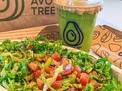 -油梨树AVOCADO TREE(嘉里中心店)