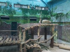 -黔灵山公园