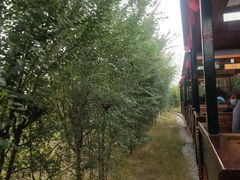-西青郊野公园