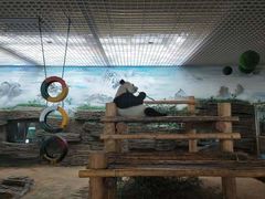 -西霞口神雕山野生动物世界