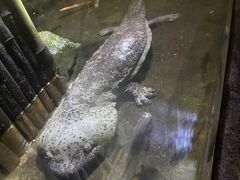 -青青世界