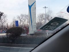 -大自然花鸟鱼虫市场