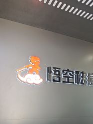 点击看大图 -悟空祛痘·诺奖技术专业店