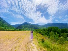 -秦岭风景区