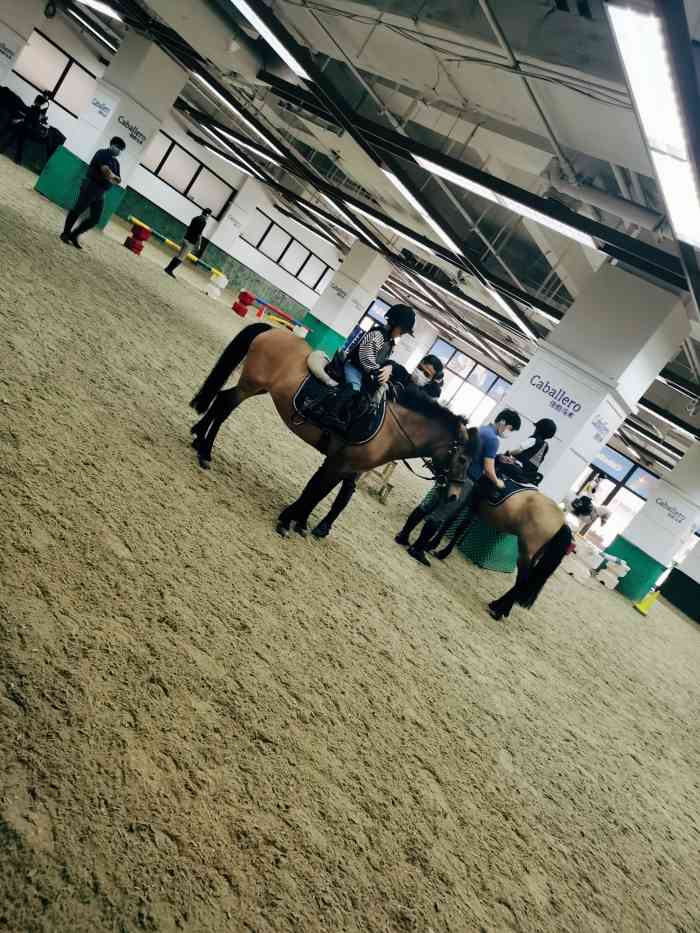 佳伯马术-"我在11月份,团购了168元的马术课,今."-大众点评移动版