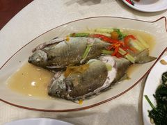 泥萌鱼-抱德·潮汕味(敦和店原惠城鱼仔)