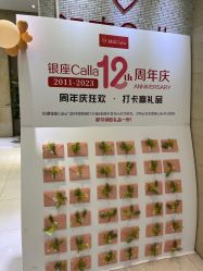 -银座Calla日式美容沙龙