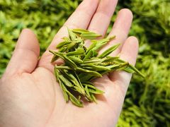 -阿巧茶庄