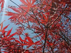 -大连植物园
