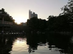 -晓港公园