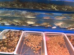 水产区-金宝生活市场(东五环店)