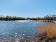 -永定河休闲森林公园