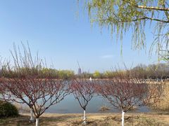 -永定河休闲森林公园