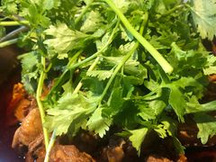 -葛记红焖羊肉(和平路形象店)